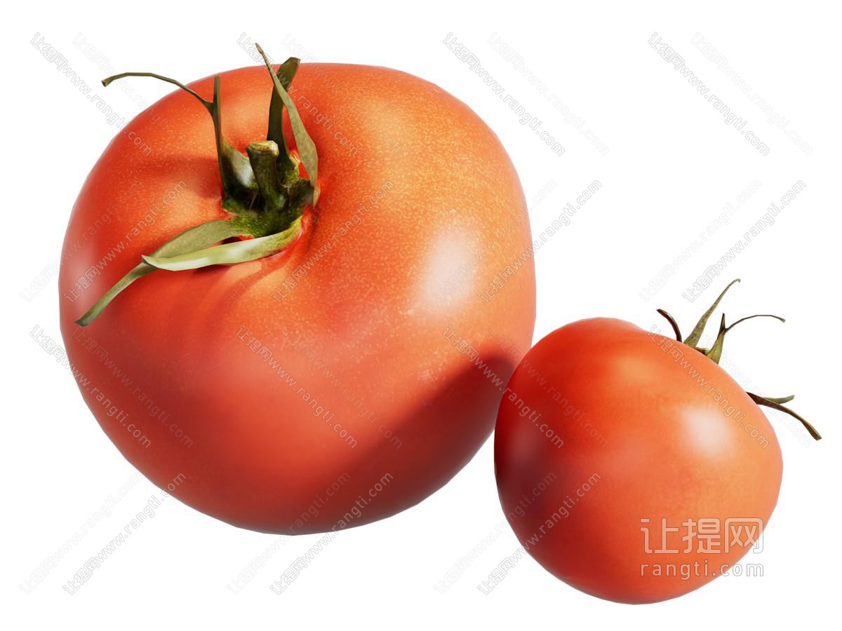 现代西红柿 水果蔬菜