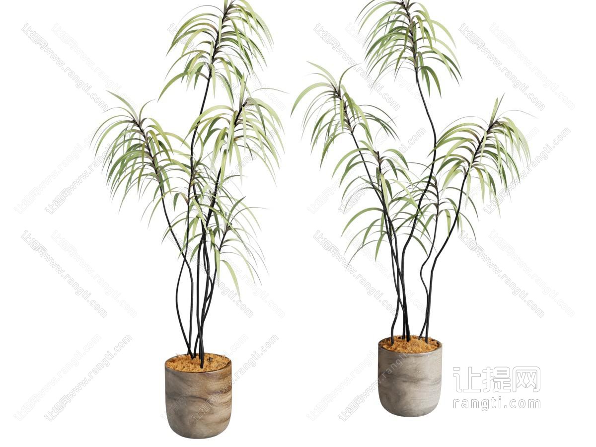 中古绿植摆件