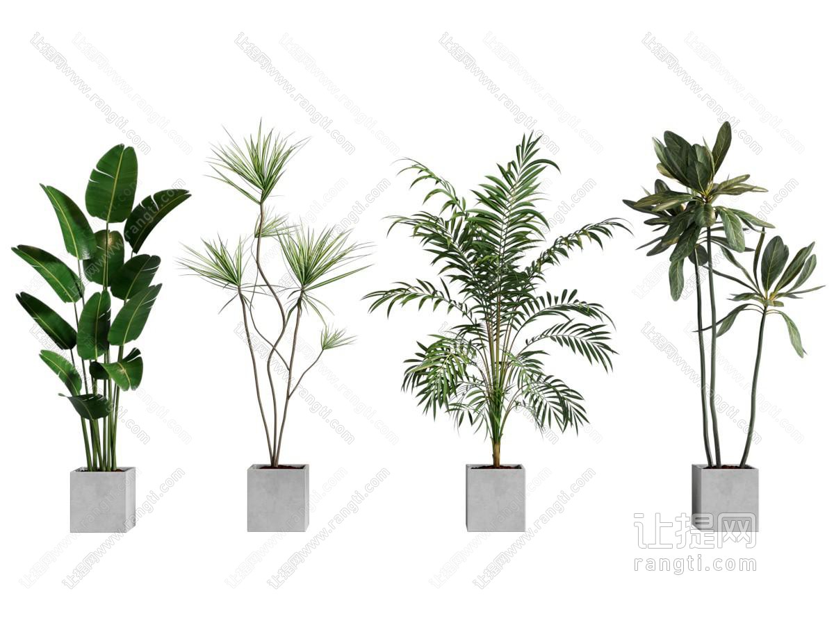 现代绿植摆件