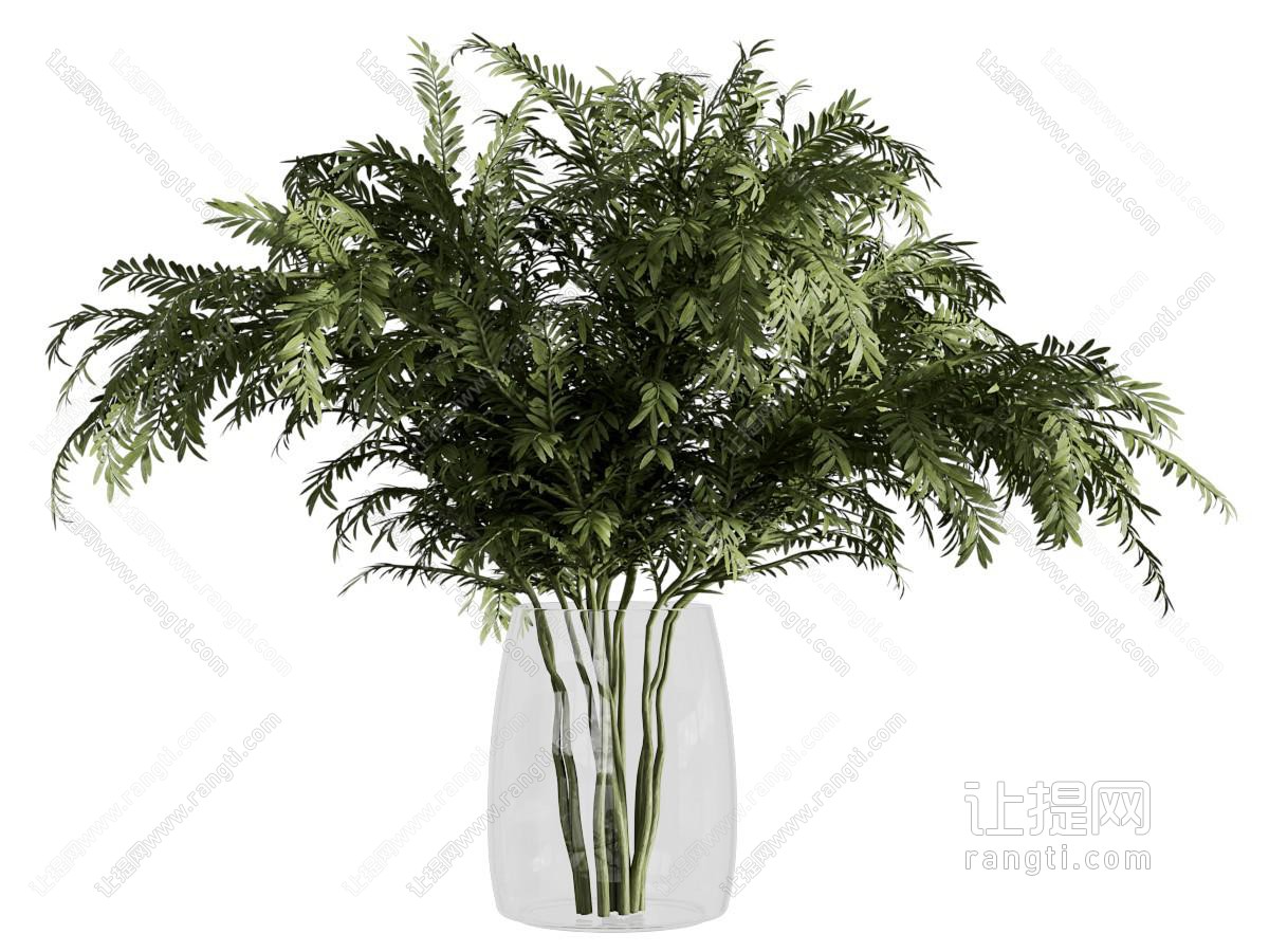 现代绿植花艺