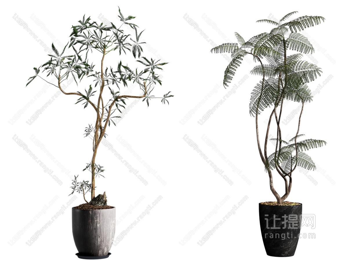 中古绿植摆件