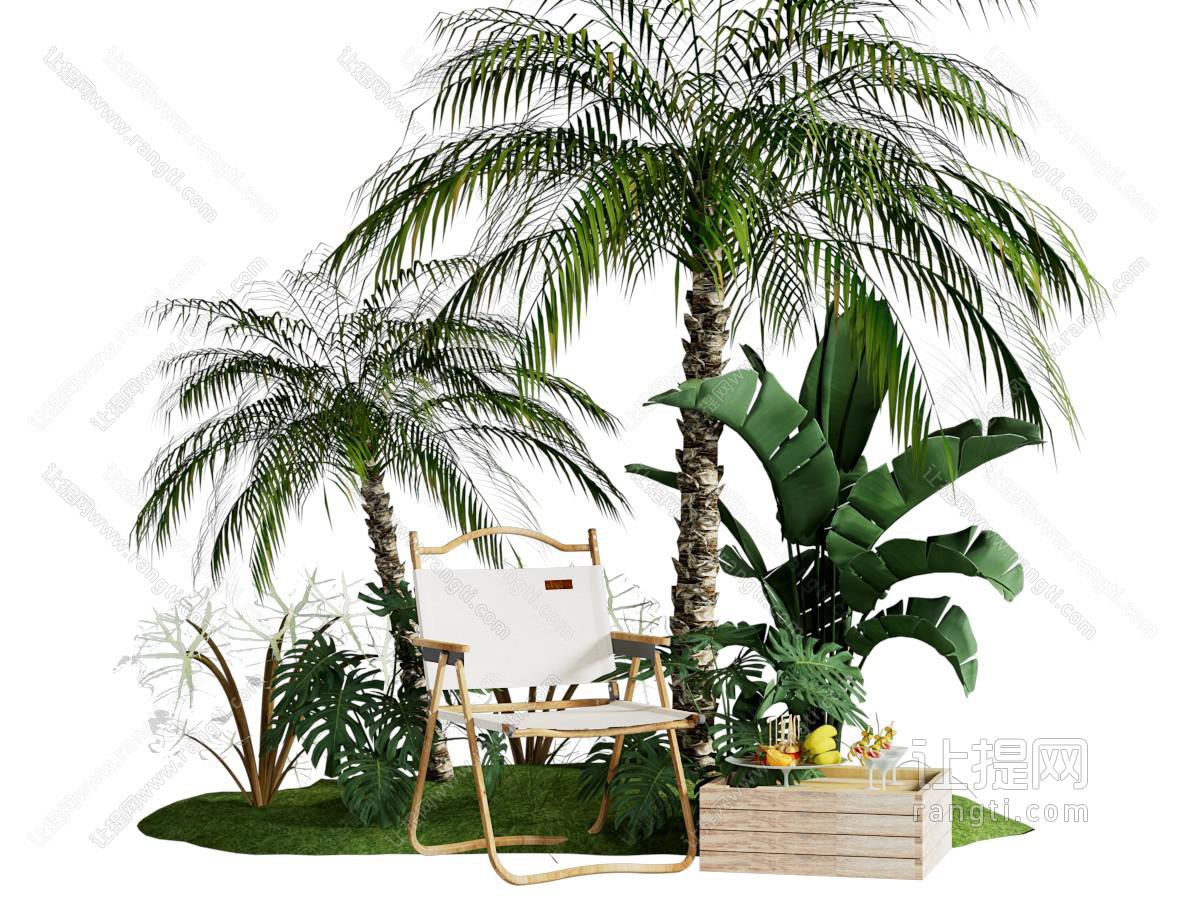热带海边植物组合