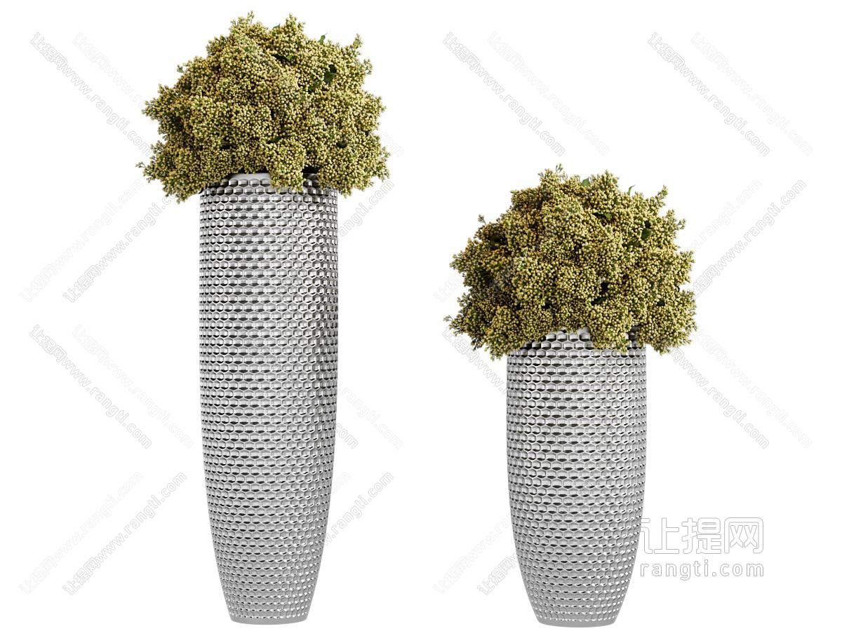 盆栽