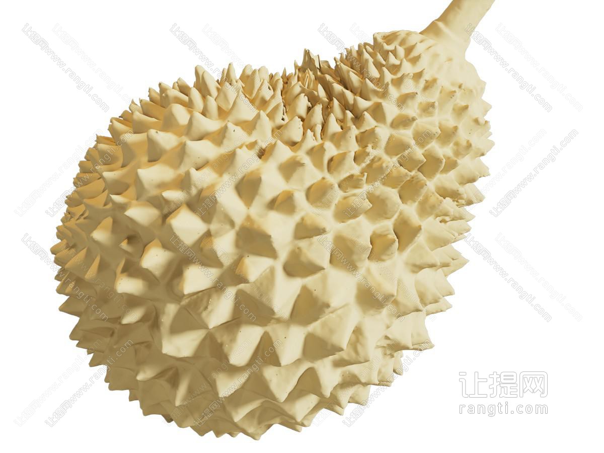 现代榴莲 水果食物