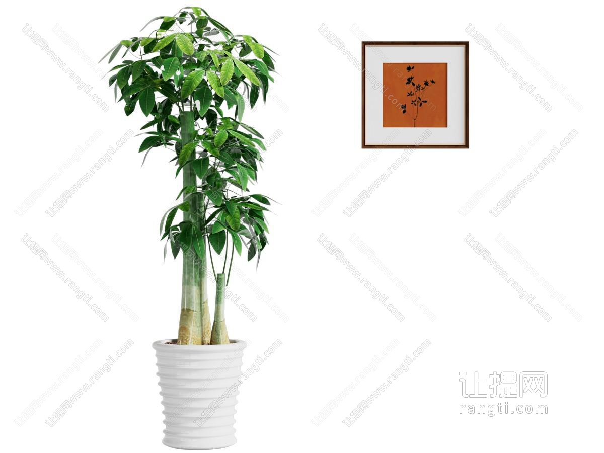 盆栽