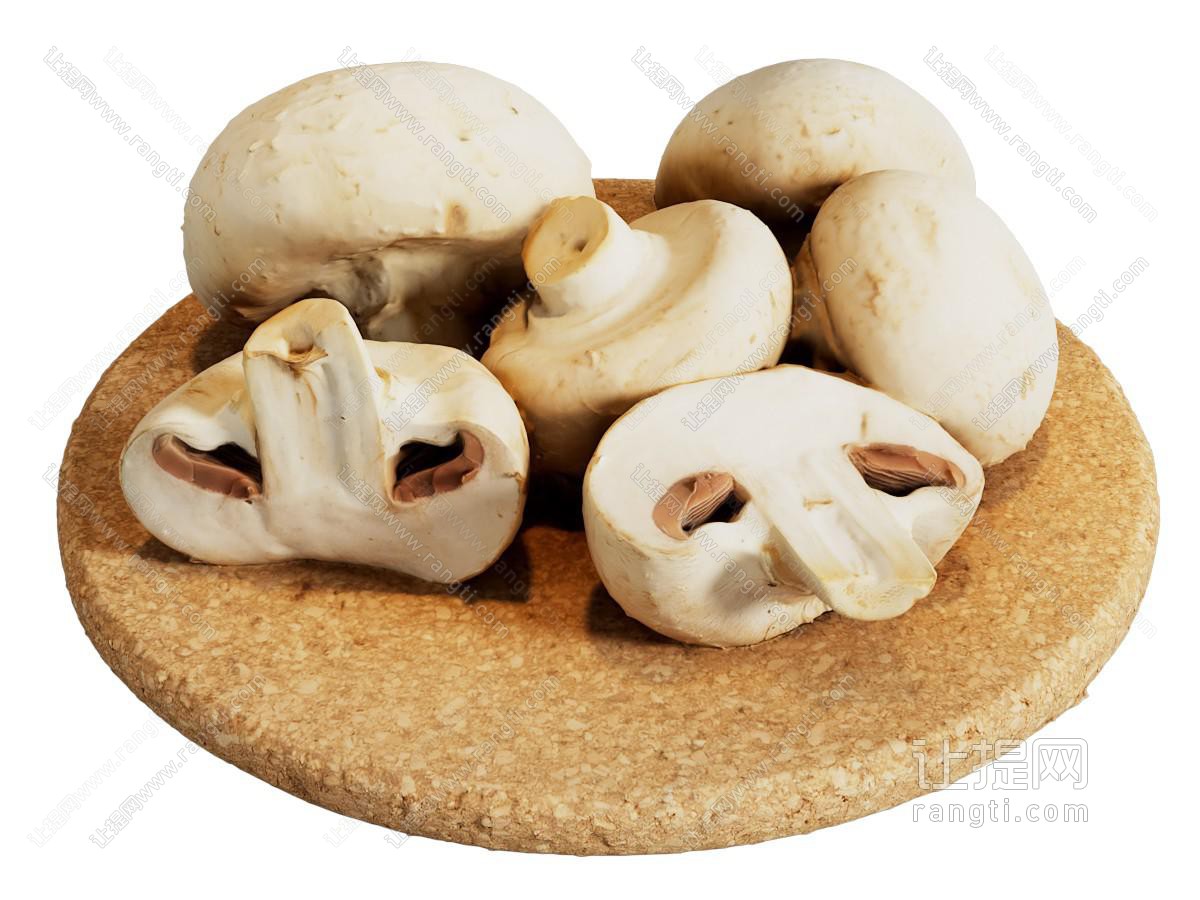 现代菌类口蘑 蘑菇 香菇