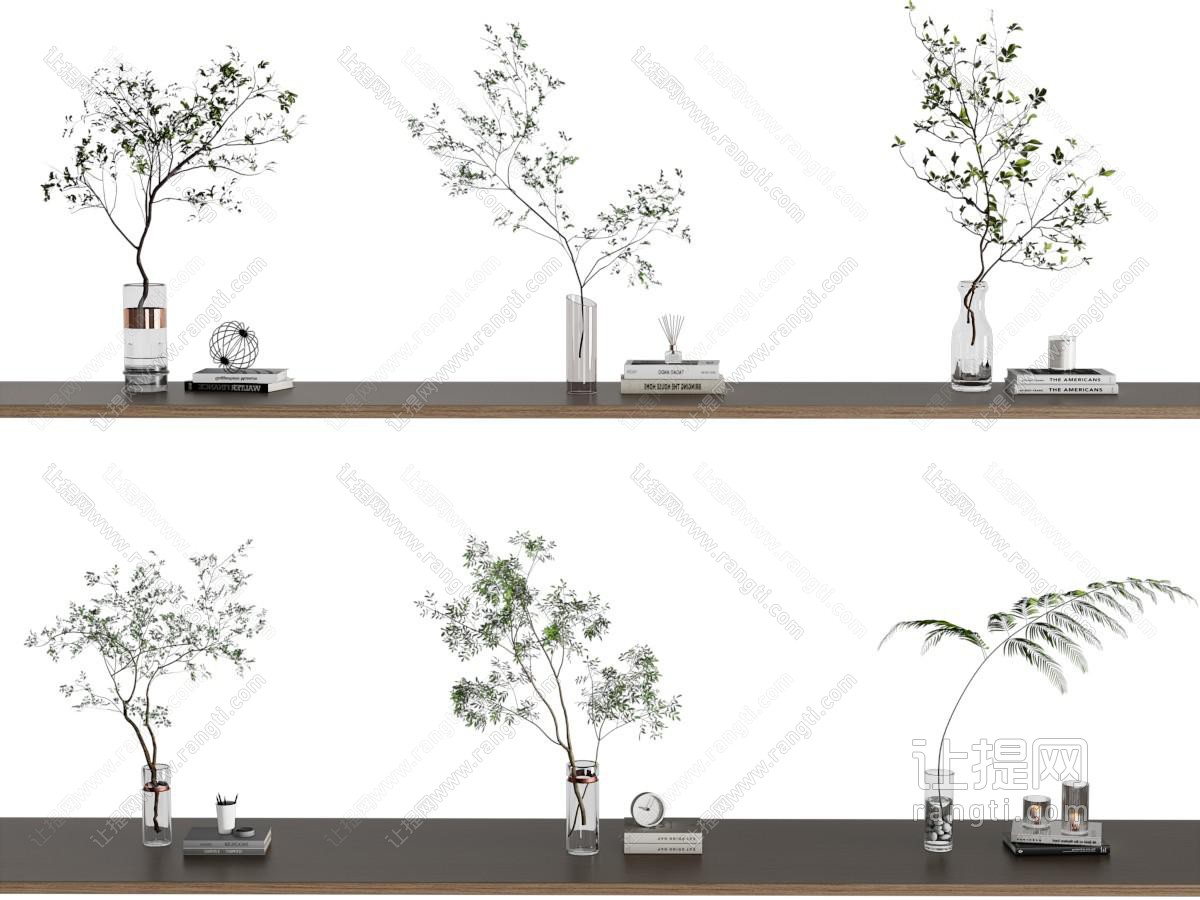 现代水生植物