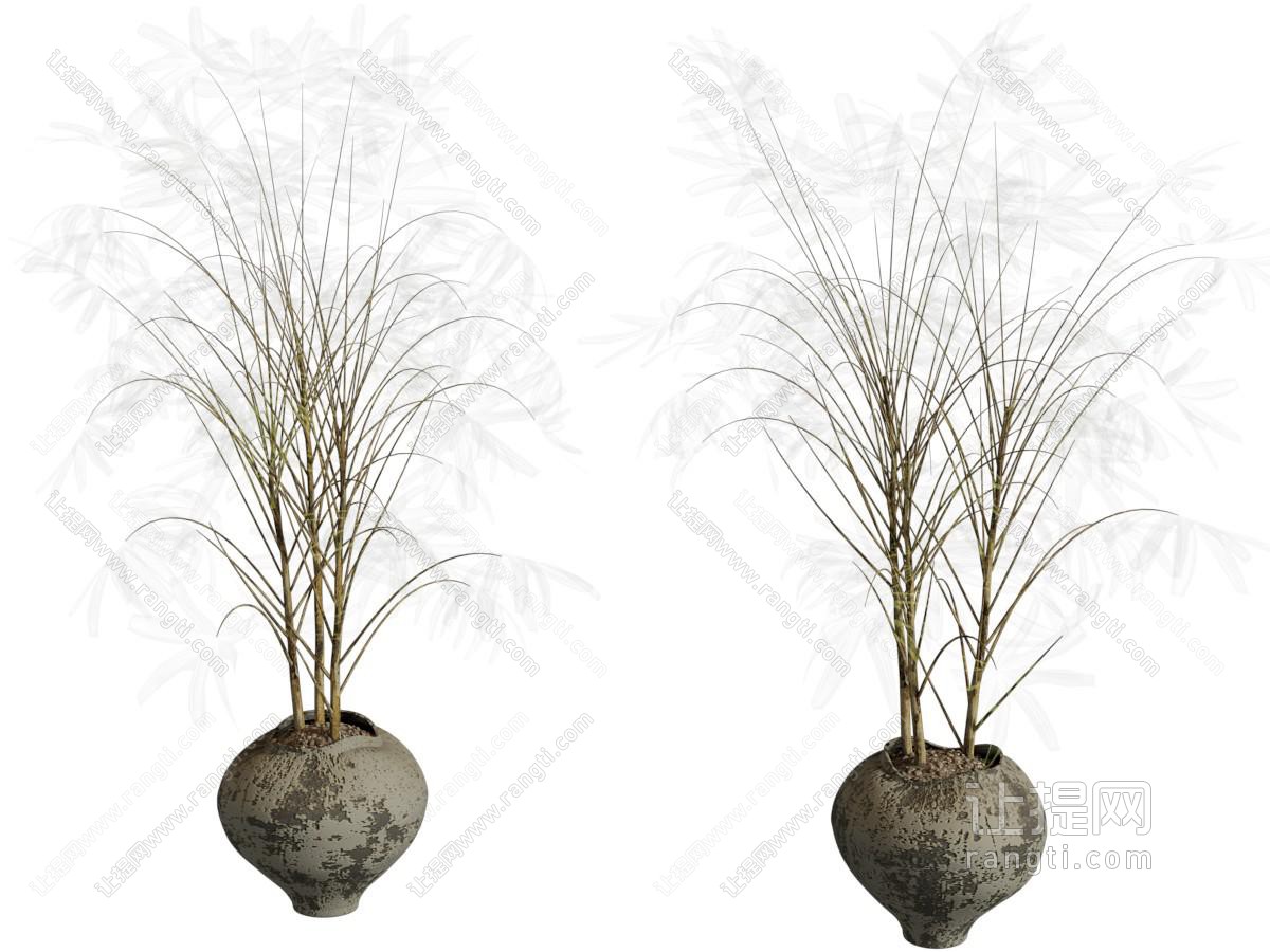 侘寂盆栽 陶罐盆栽 植物盆栽 绿植盆栽