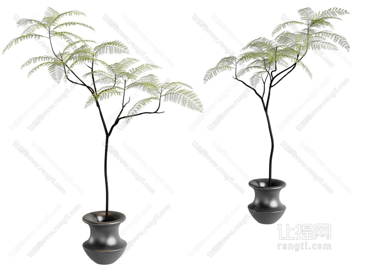 中古风绿植盆栽