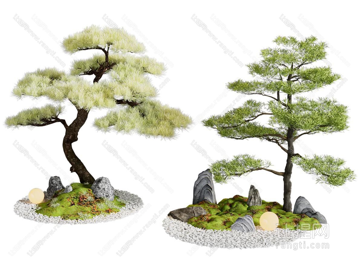 是新中式松树景观树 庭院小品 庭院景观 迎客松 松树盆