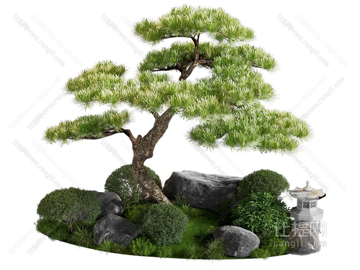 新中式广场景观 松树景观 灌木组合 庭院景观