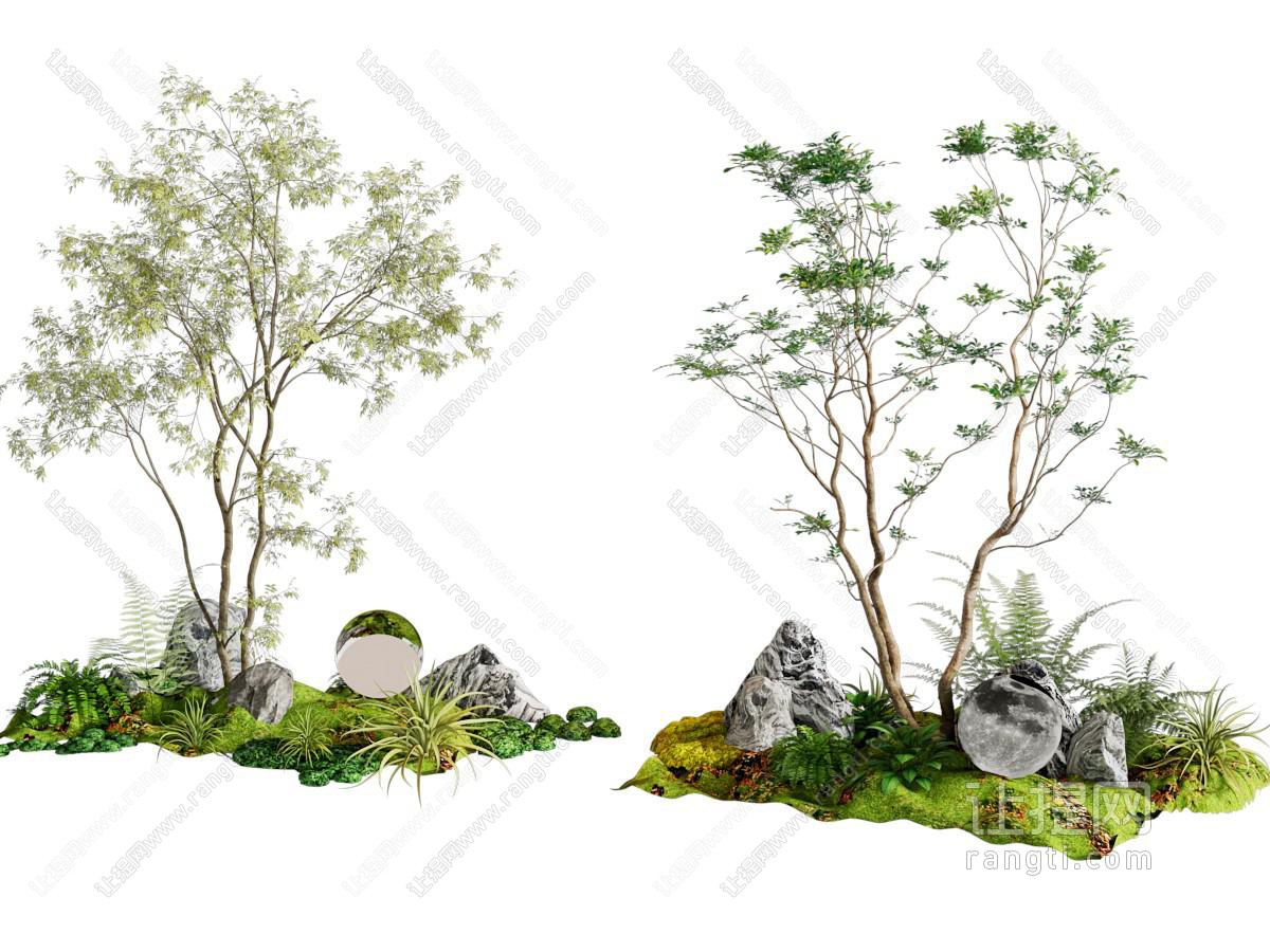 植物堆 微地形