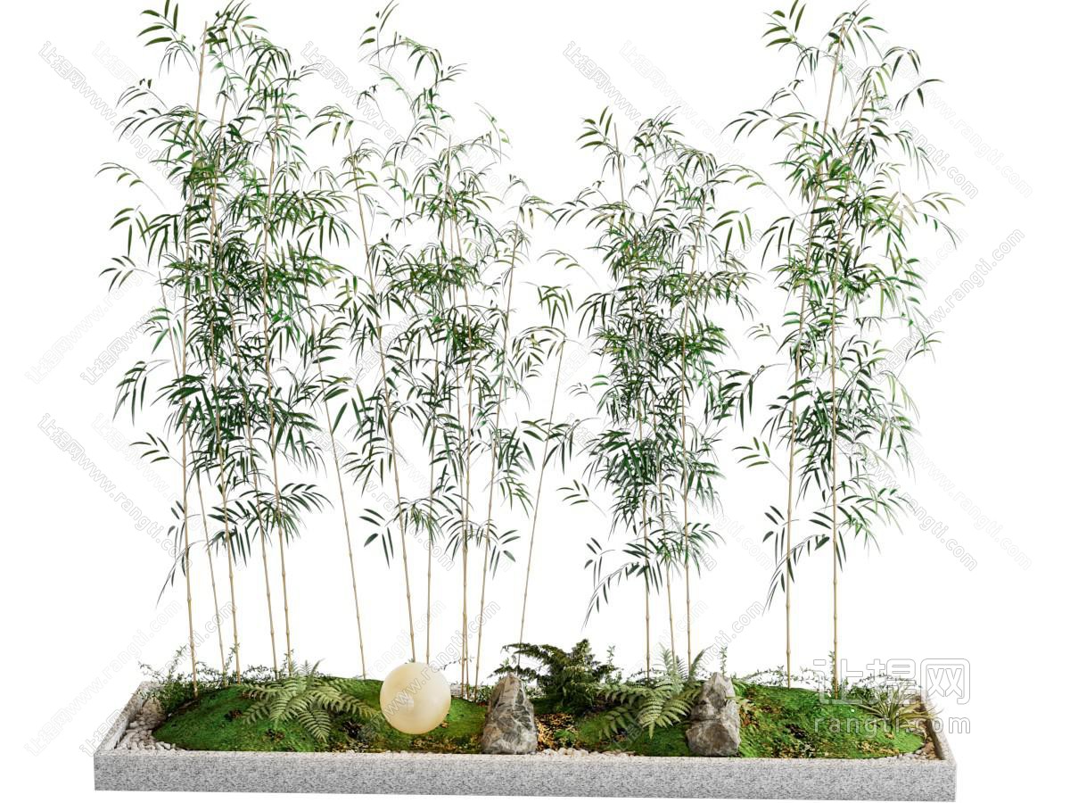 竹子 竹林 景观