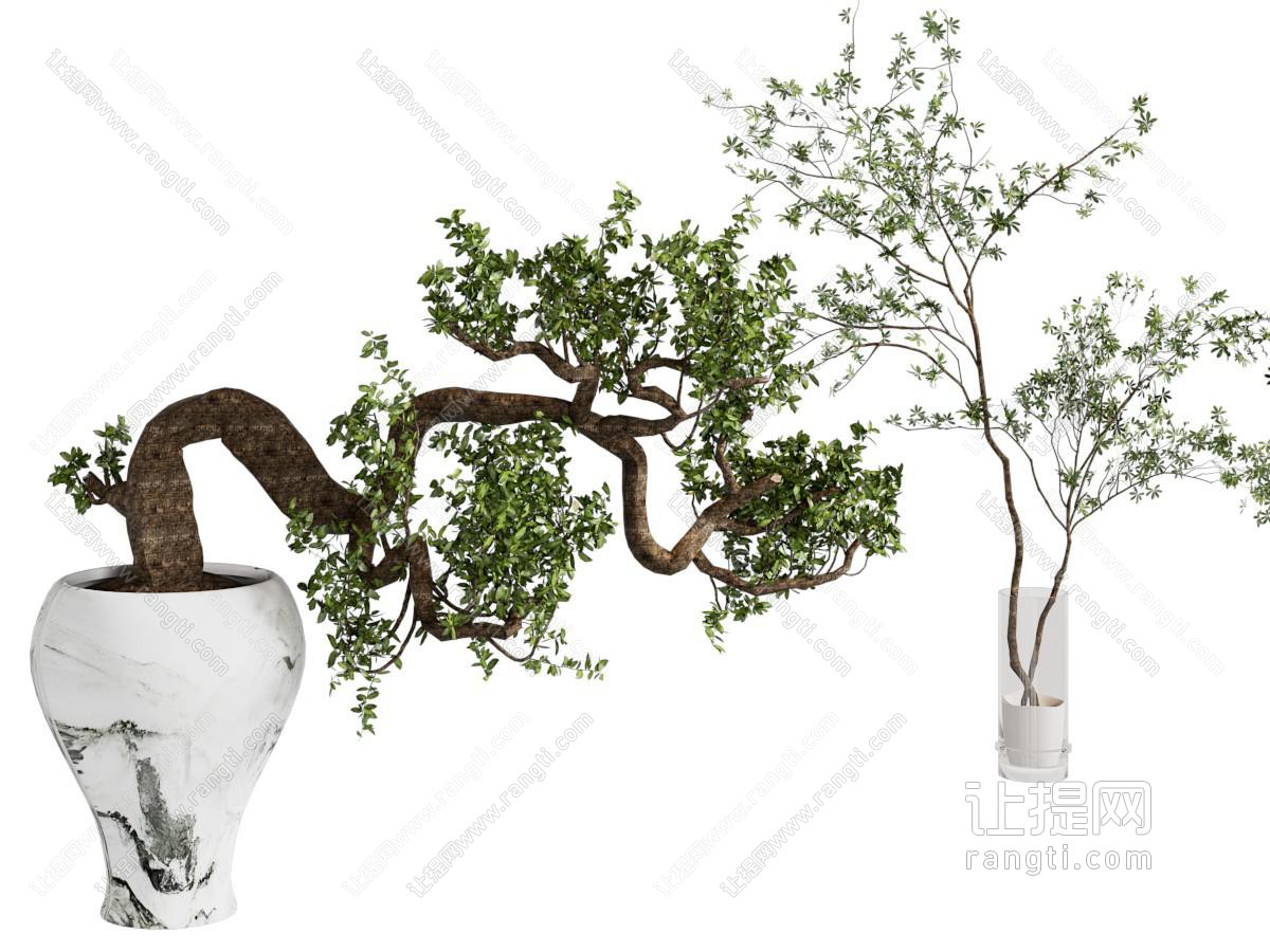 新中式绿植盆栽 盆景