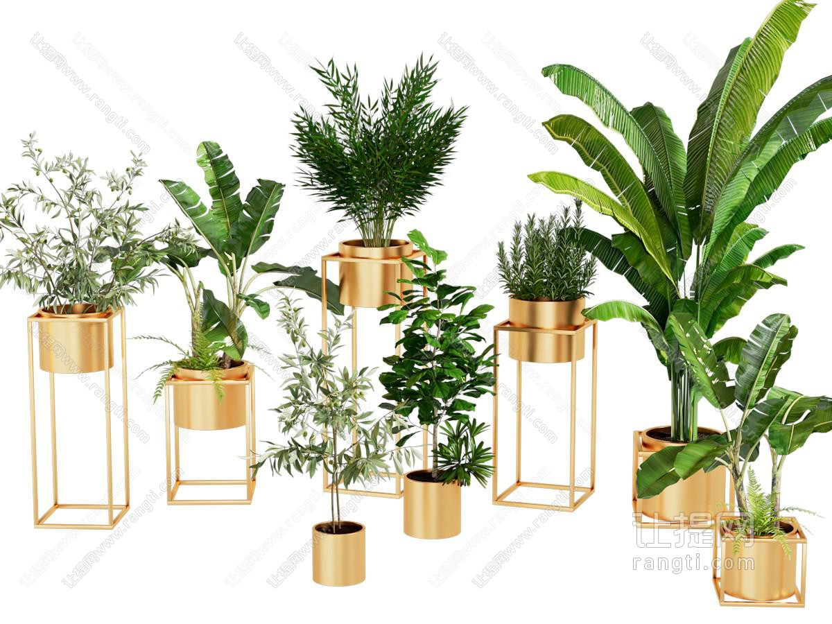 北欧绿植盆栽