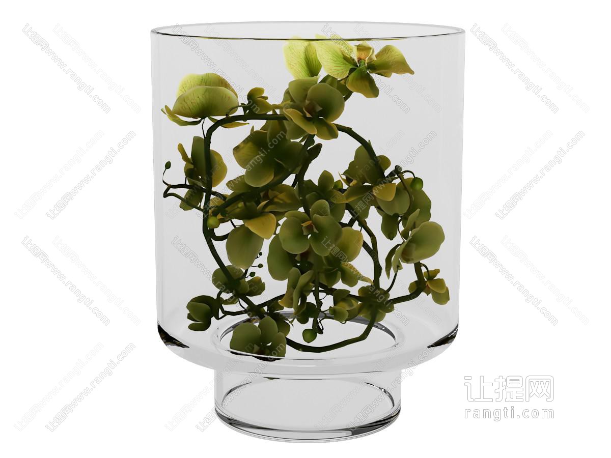 兰花花瓶花卉