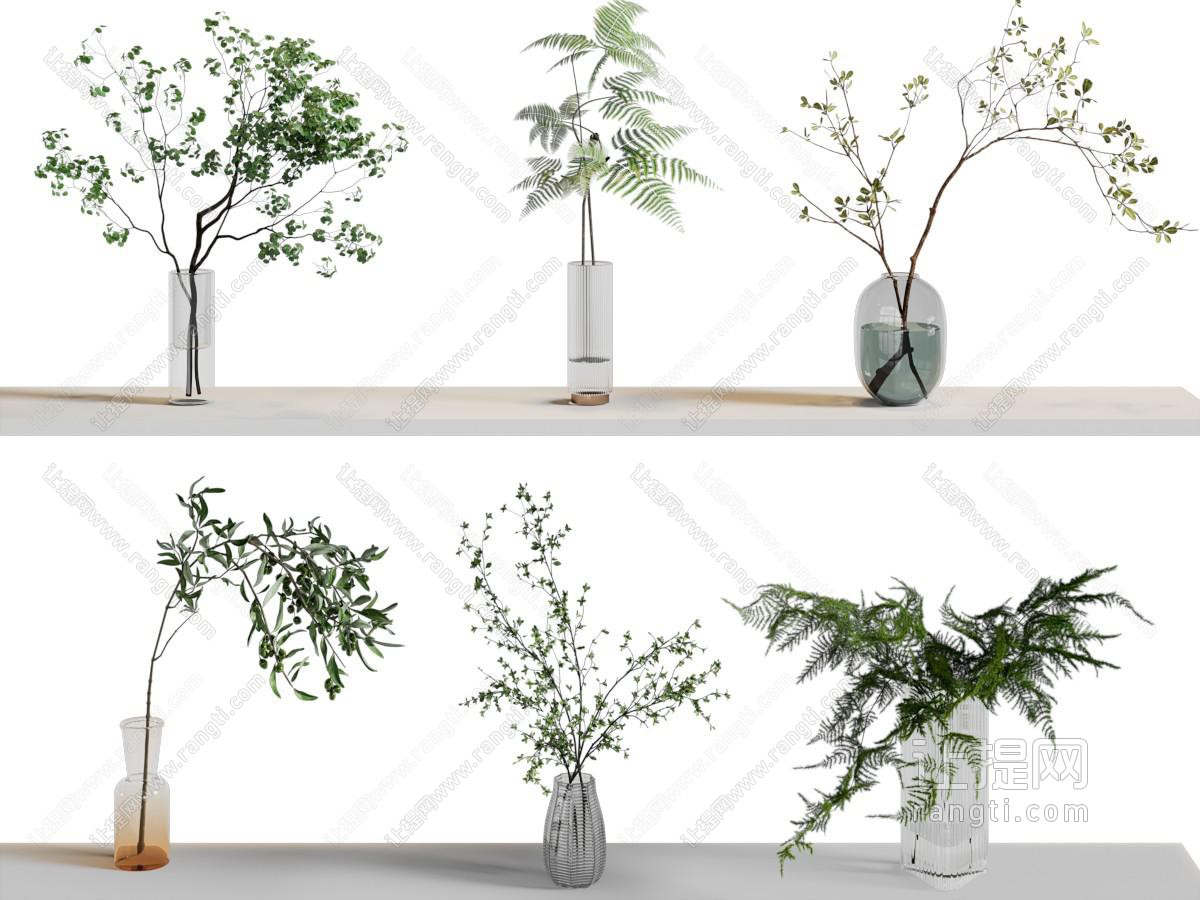 水生植物