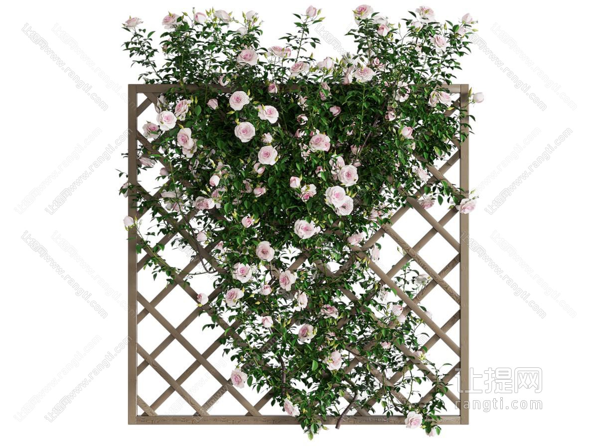 绿植花架藤蔓 墙
