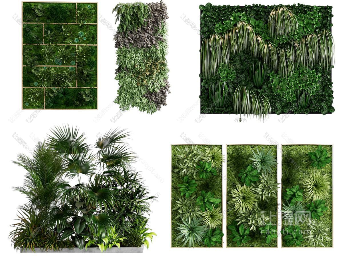 植物墙