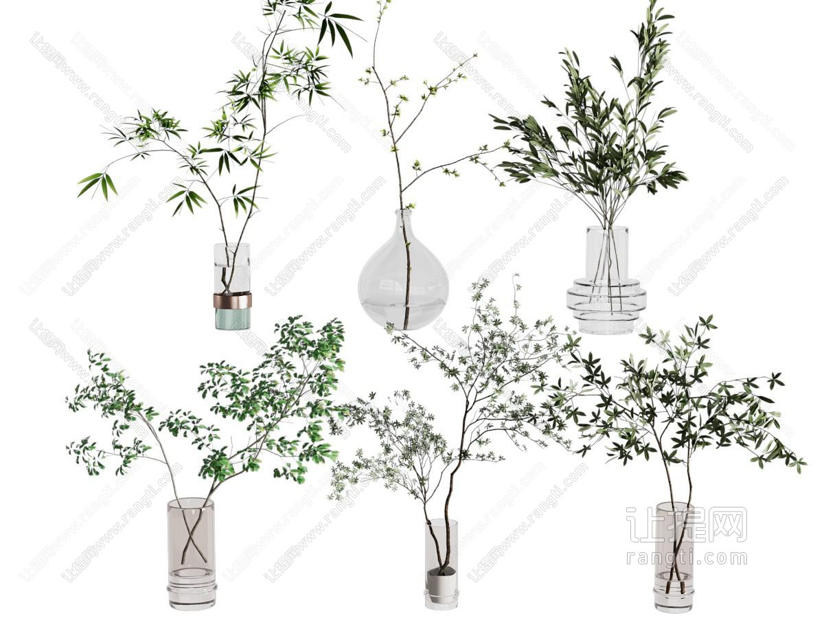 水生植物