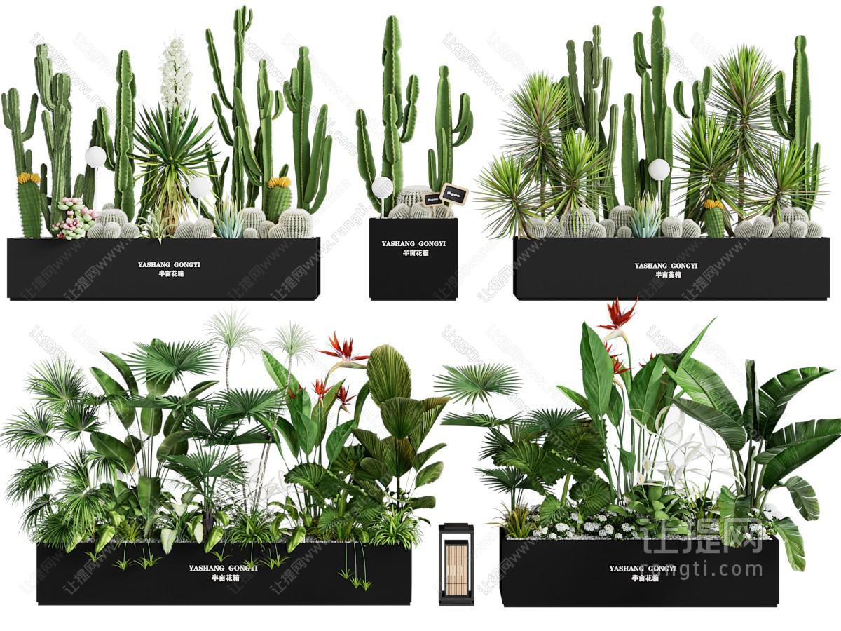植物堆 植物组合 外摆绿植花箱 花坛花钵 仙人掌