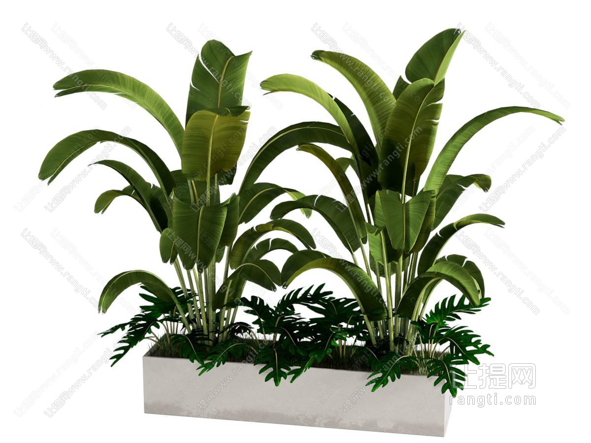 户外花箱 绿植花槽 花坛 芭蕉