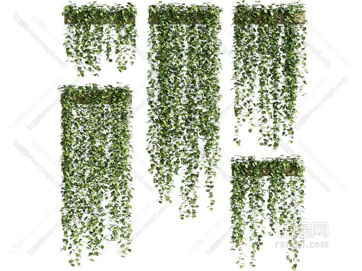 盆栽
