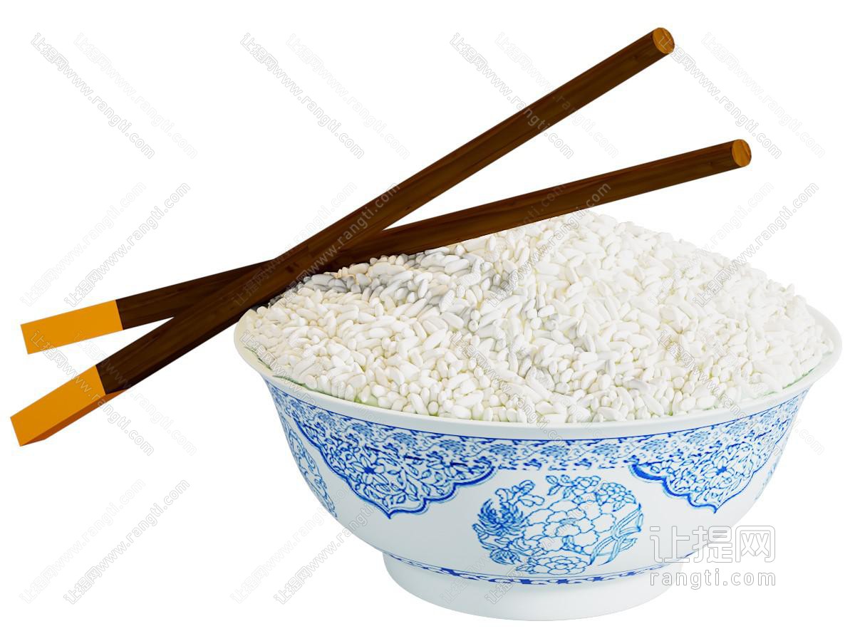 现代米饭 食物