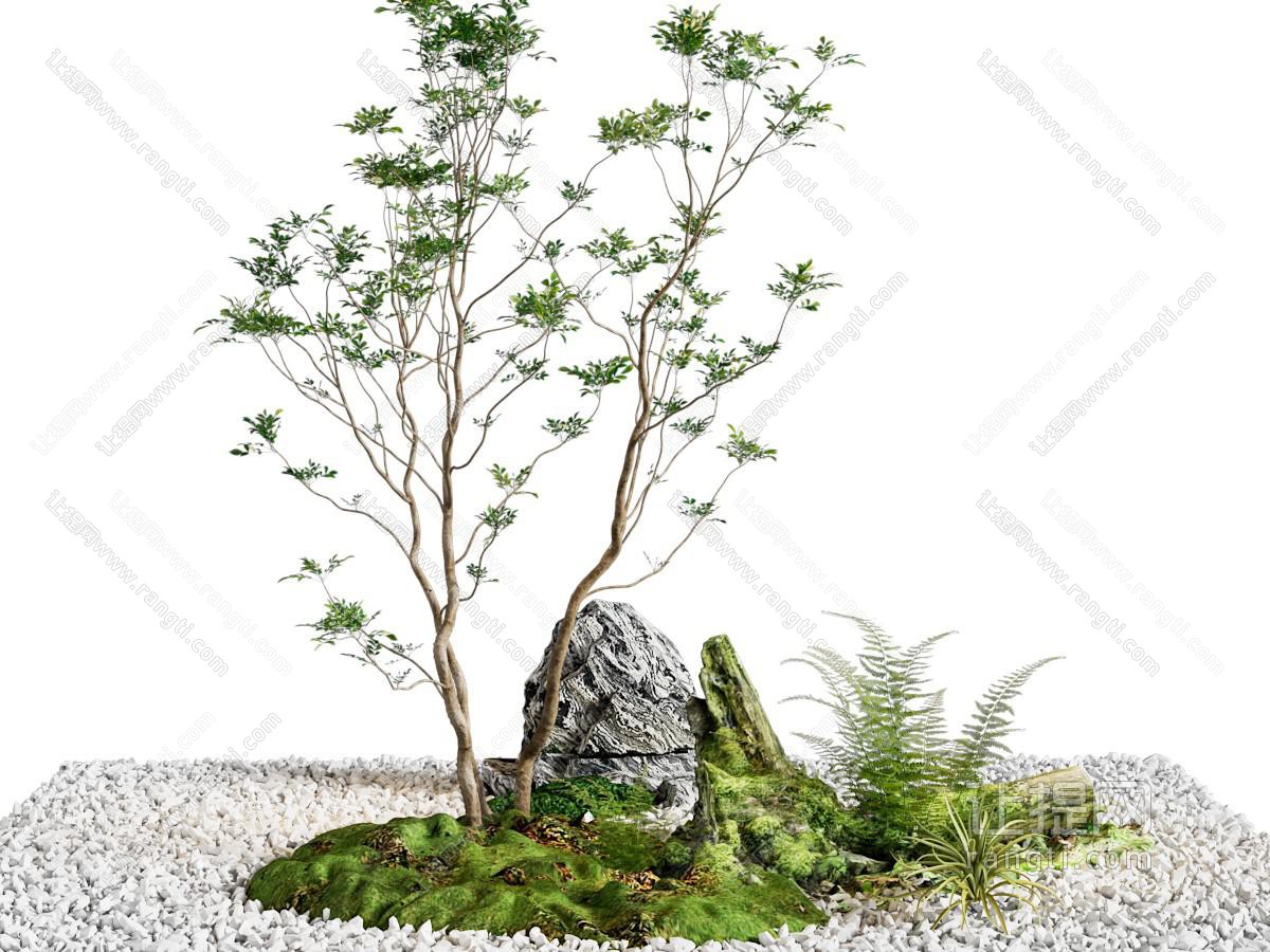 现代景观造景