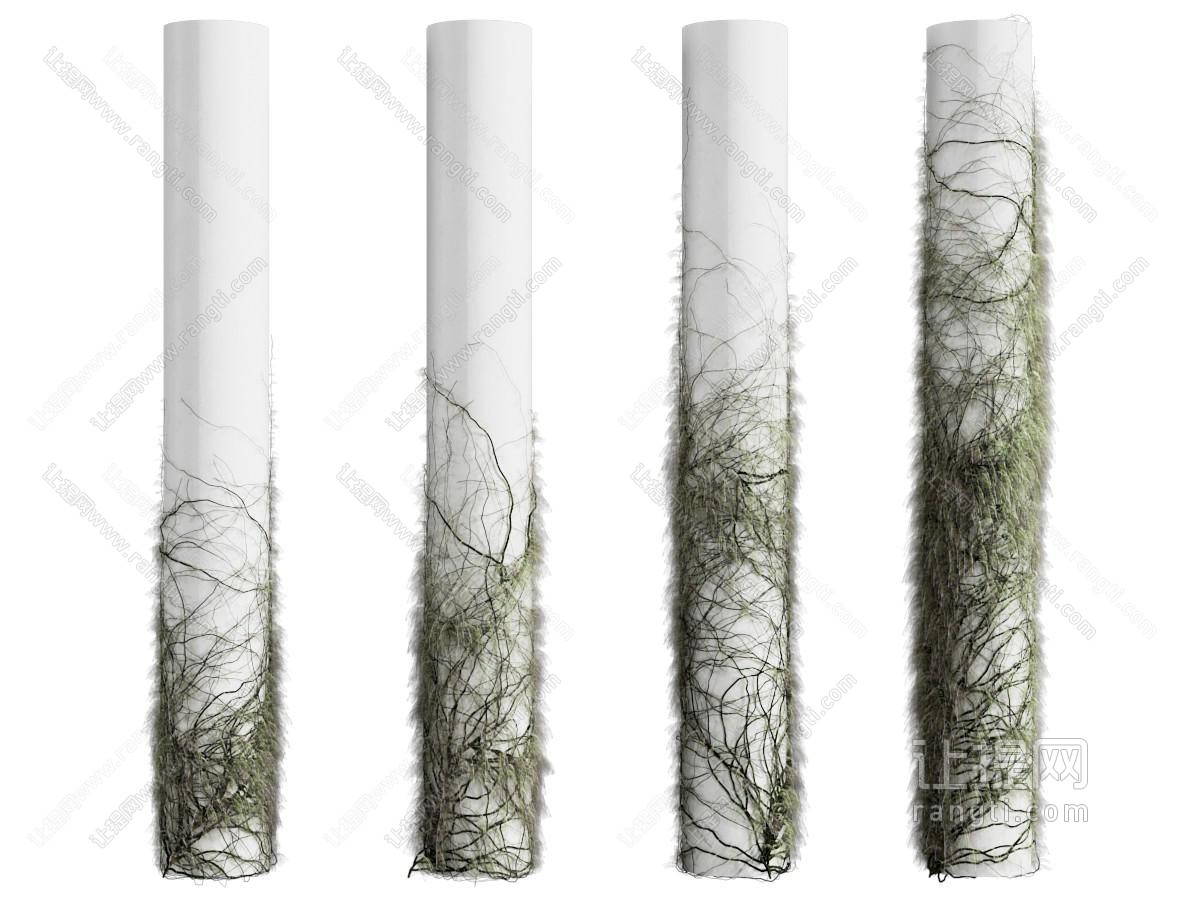 现代柱子藤蔓植物