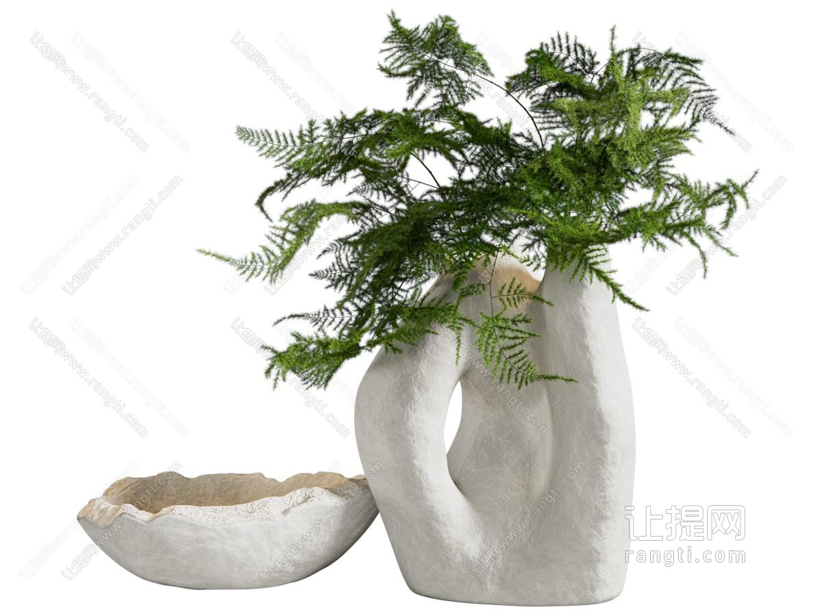 现代绿植 植物