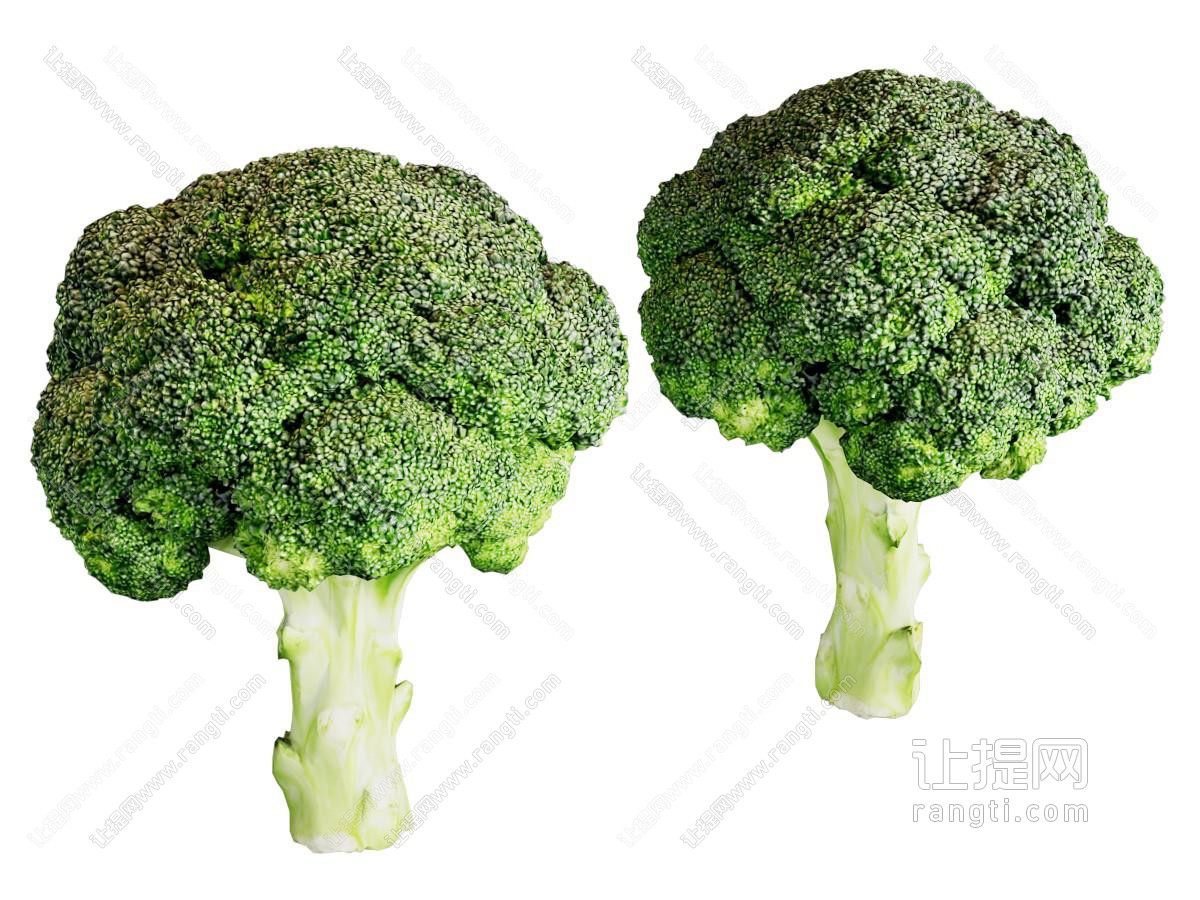 现代西蓝花 蔬菜 水果食物