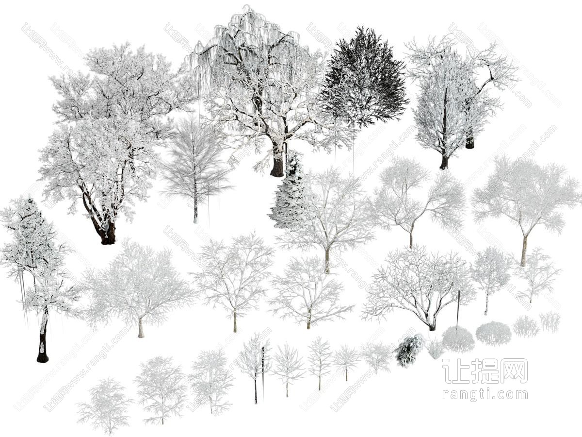 现代雪景景观树木