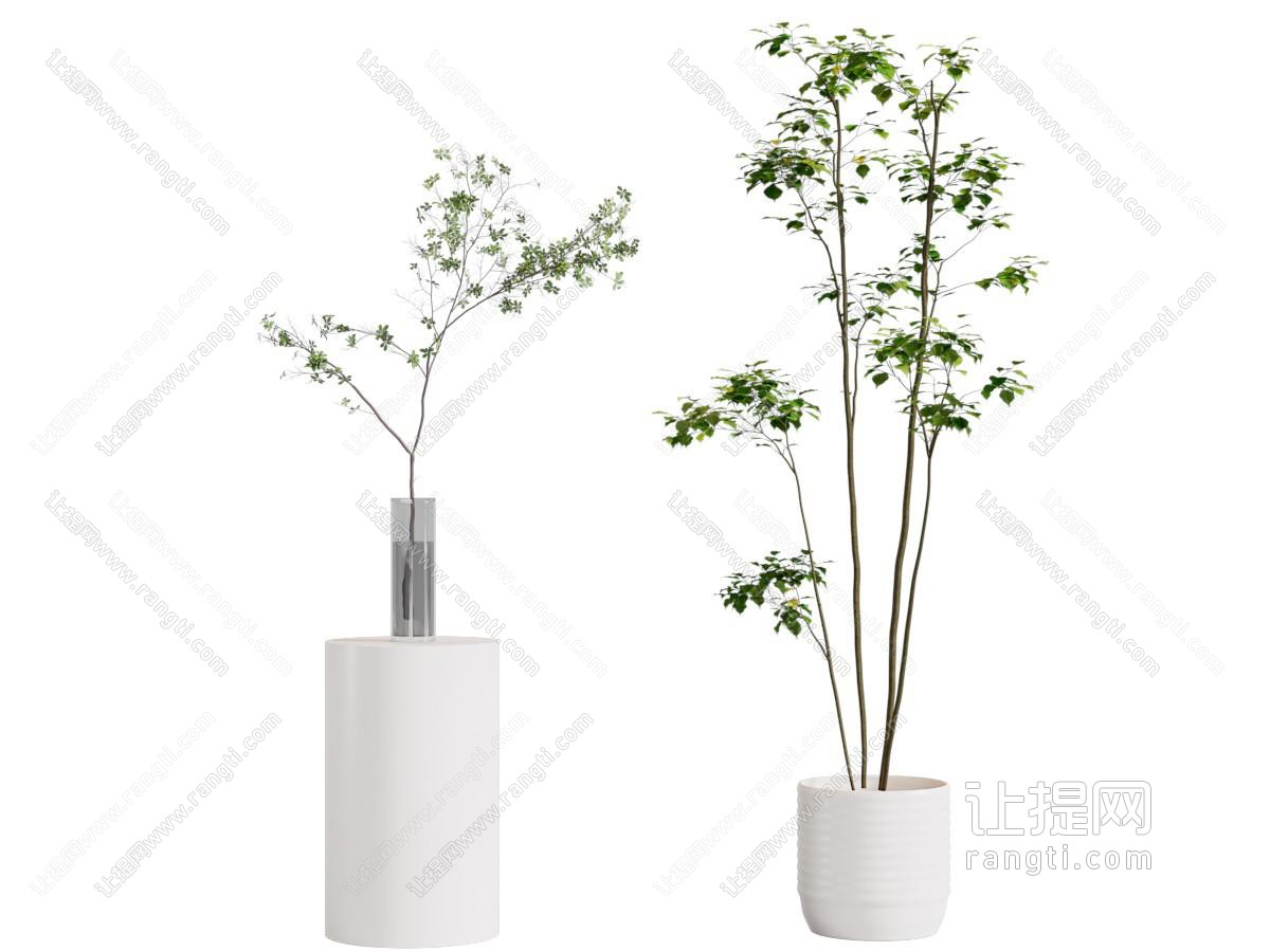 现代花盆盆景盆栽植物