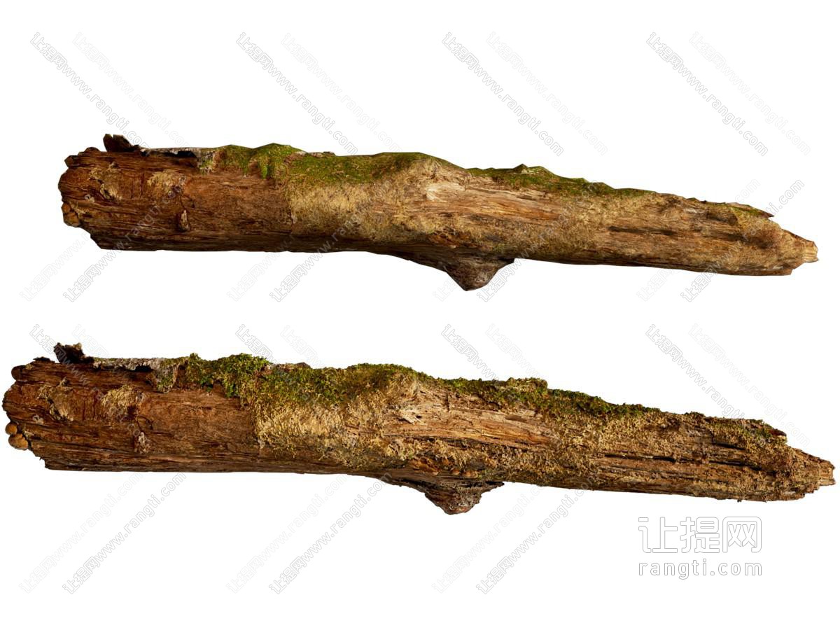 现代老旧木头 长满了苔藓的木材