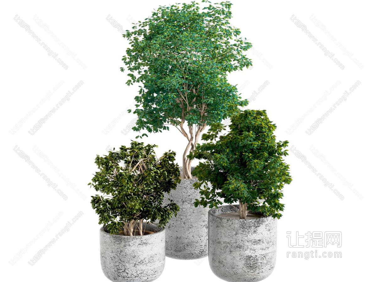 现代侘寂风花盆盆景盆栽植物