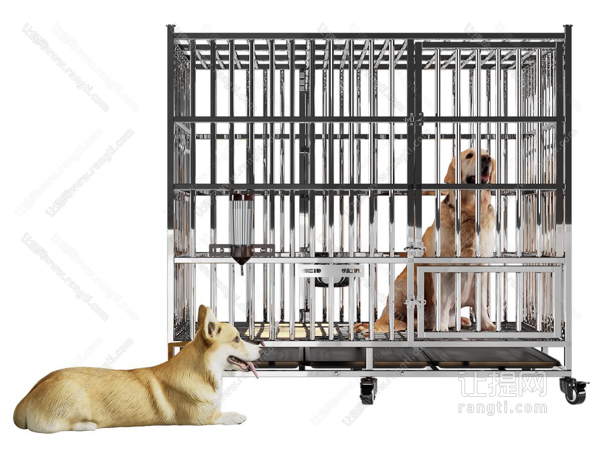 现代关在笼子里的狗 爬行动物