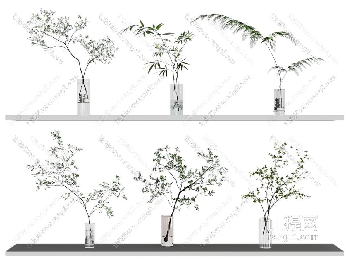 水生植物