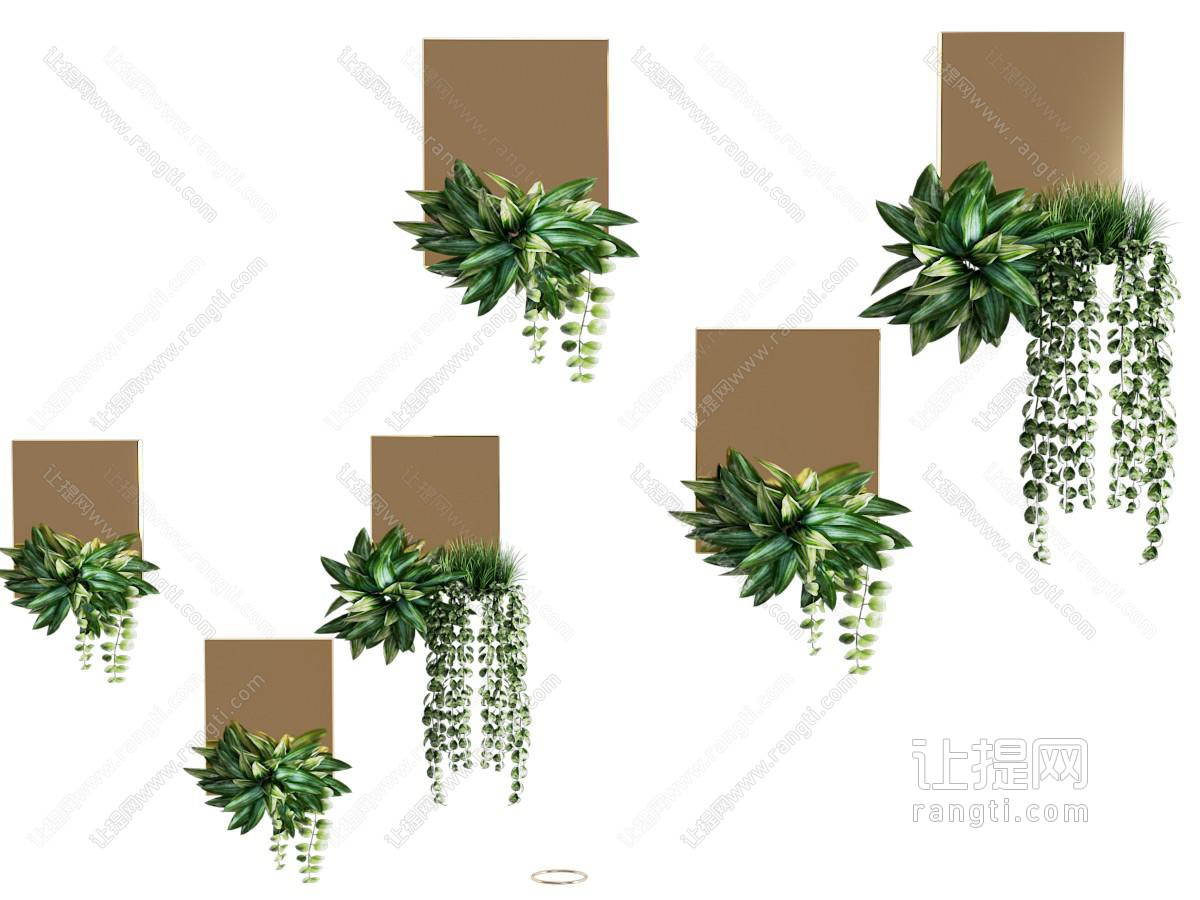 悬挂植物墙饰 挂饰