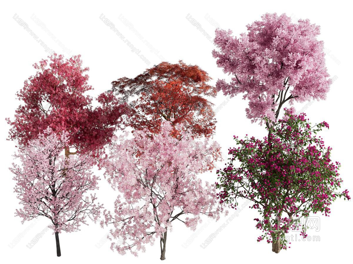 现代花树